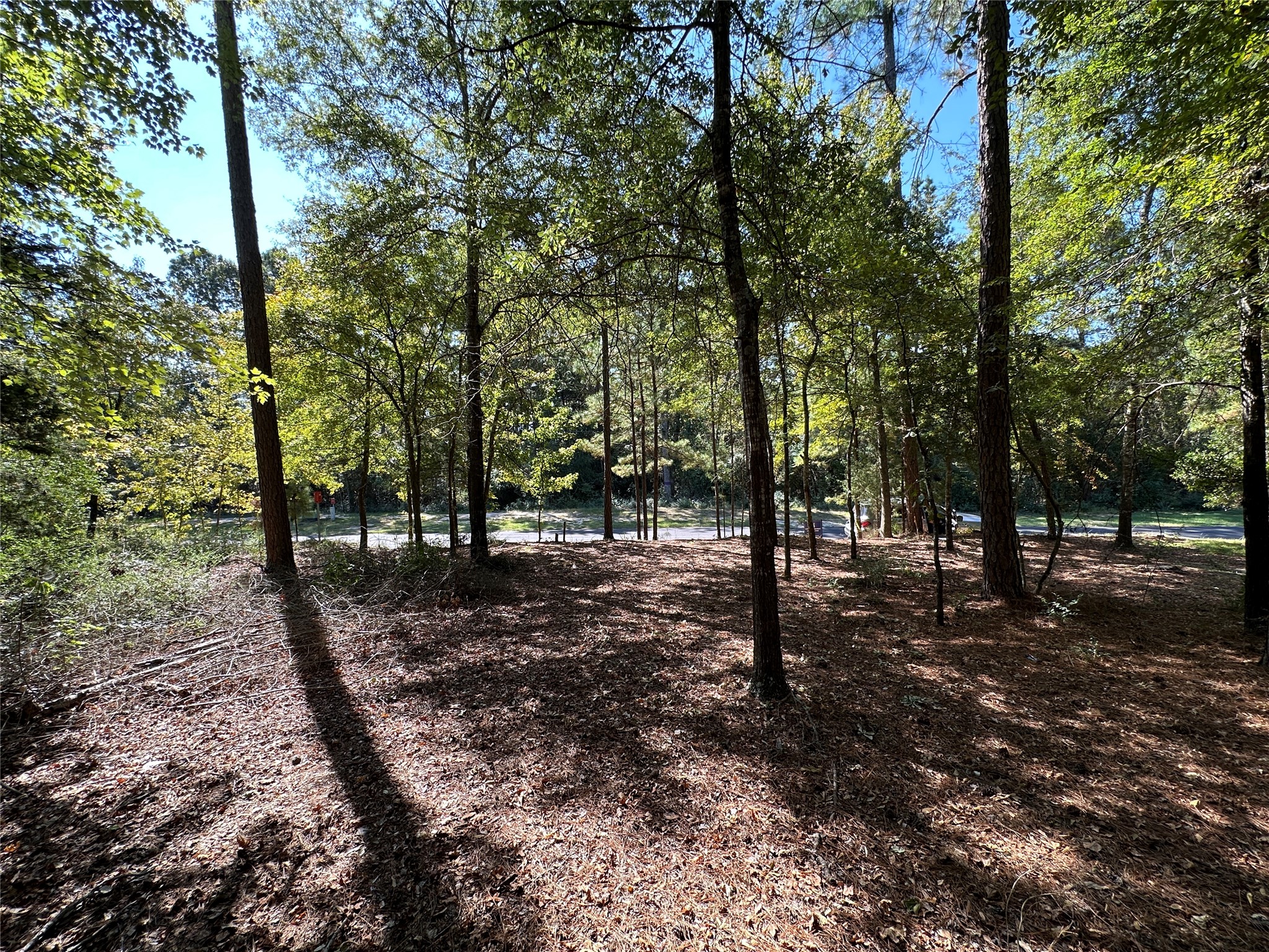 Tbd Holly Trail Holly Lake Ranch TX 75765