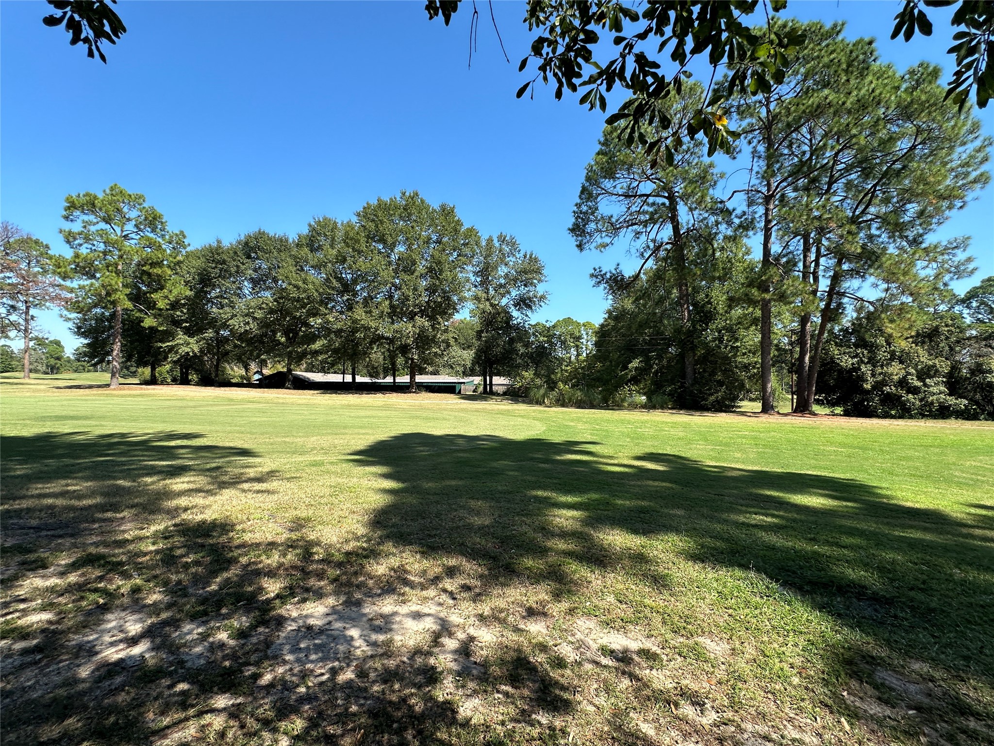 Tbd Holly Trail Holly Lake Ranch TX 75765