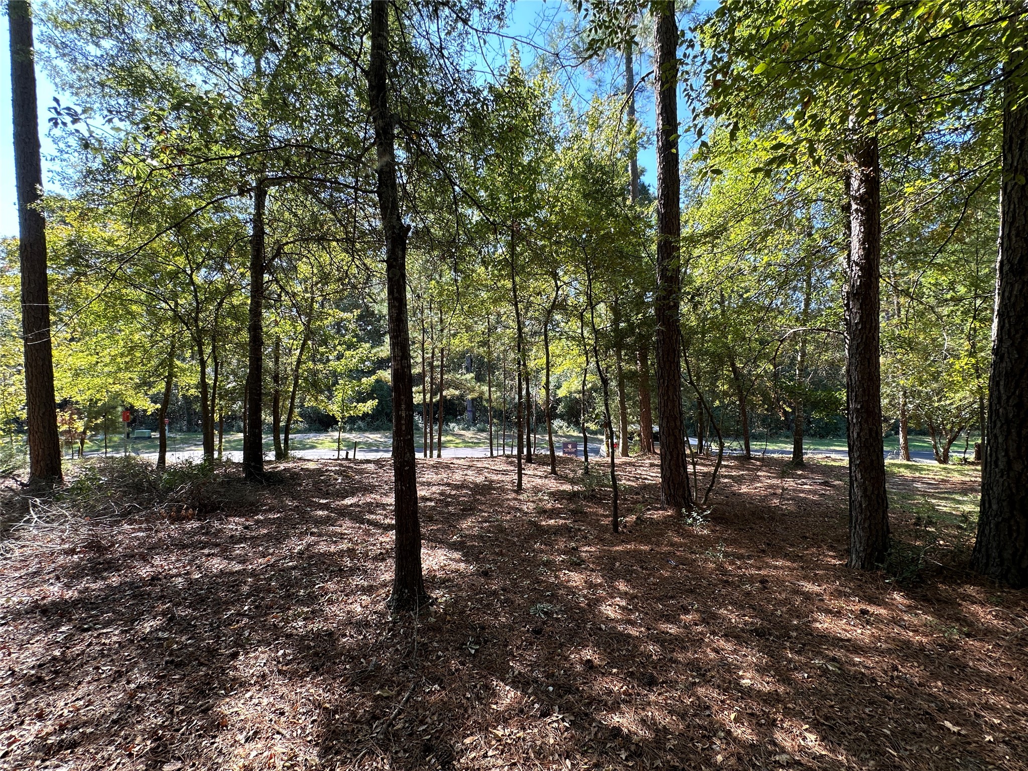 Tbd Holly Trail Holly Lake Ranch TX 75765