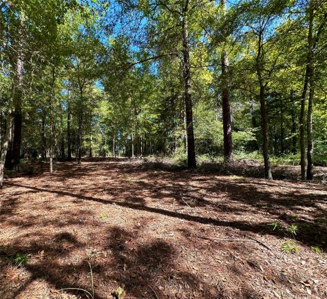 Tbd Holly Trail Holly Lake Ranch TX 75765