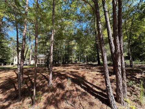 Tbd Holly Trail Holly Lake Ranch TX 75765