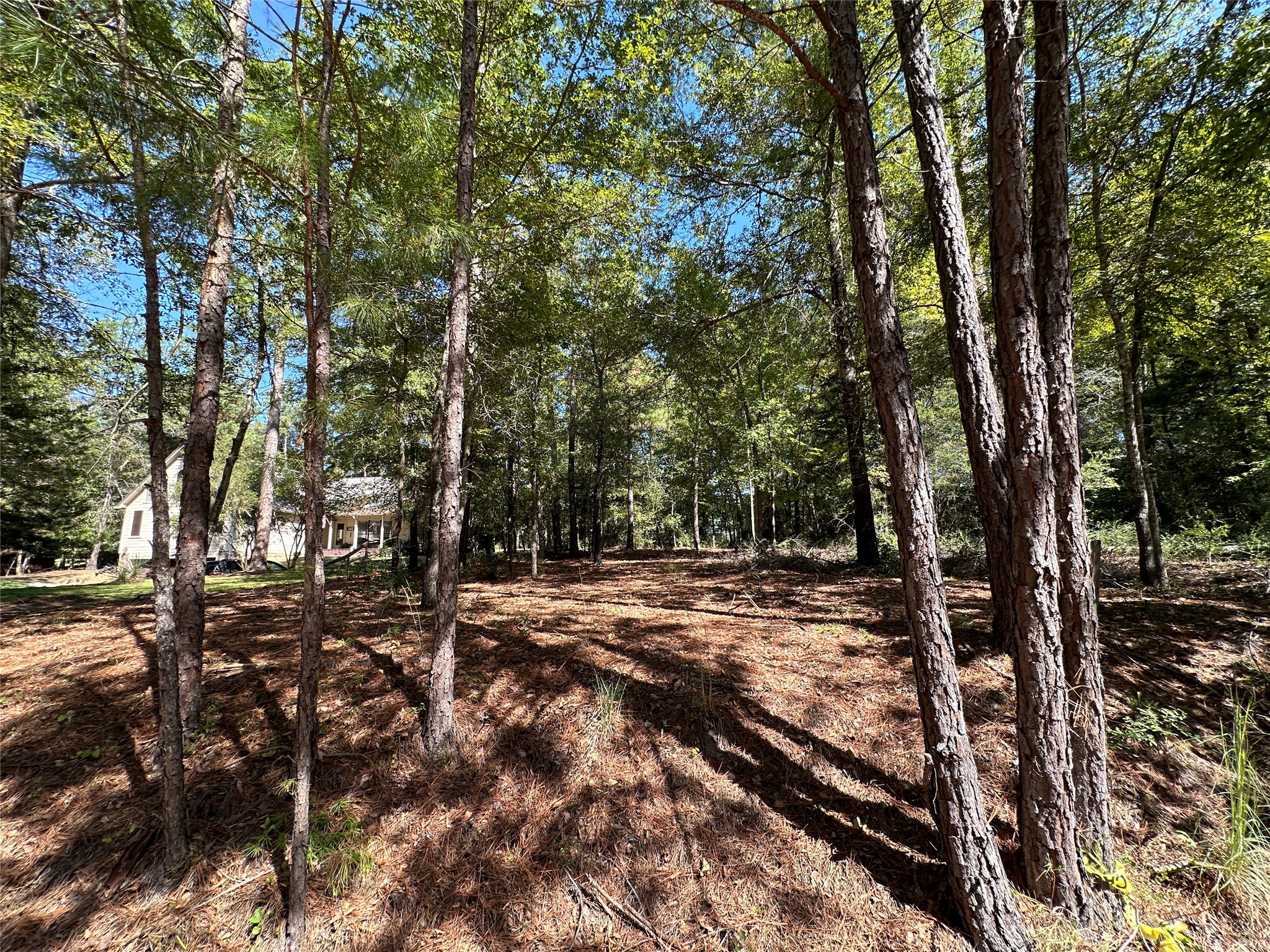 Tbd Holly Trail Holly Lake Ranch TX 75765