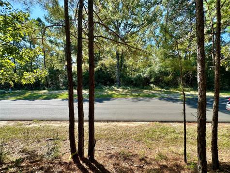 Tbd Holly Trail Holly Lake Ranch TX 75765