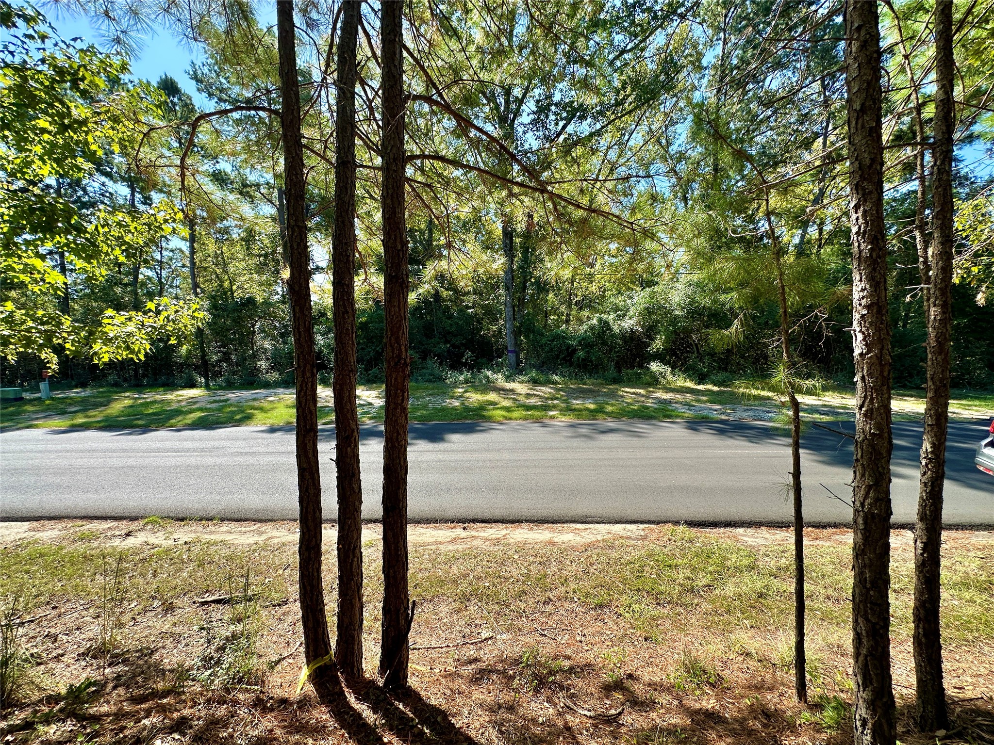 Tbd Holly Trail Holly Lake Ranch TX 75765