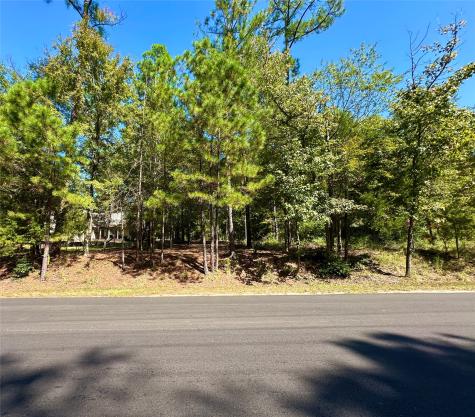 Tbd Holly Trail Holly Lake Ranch TX 75765