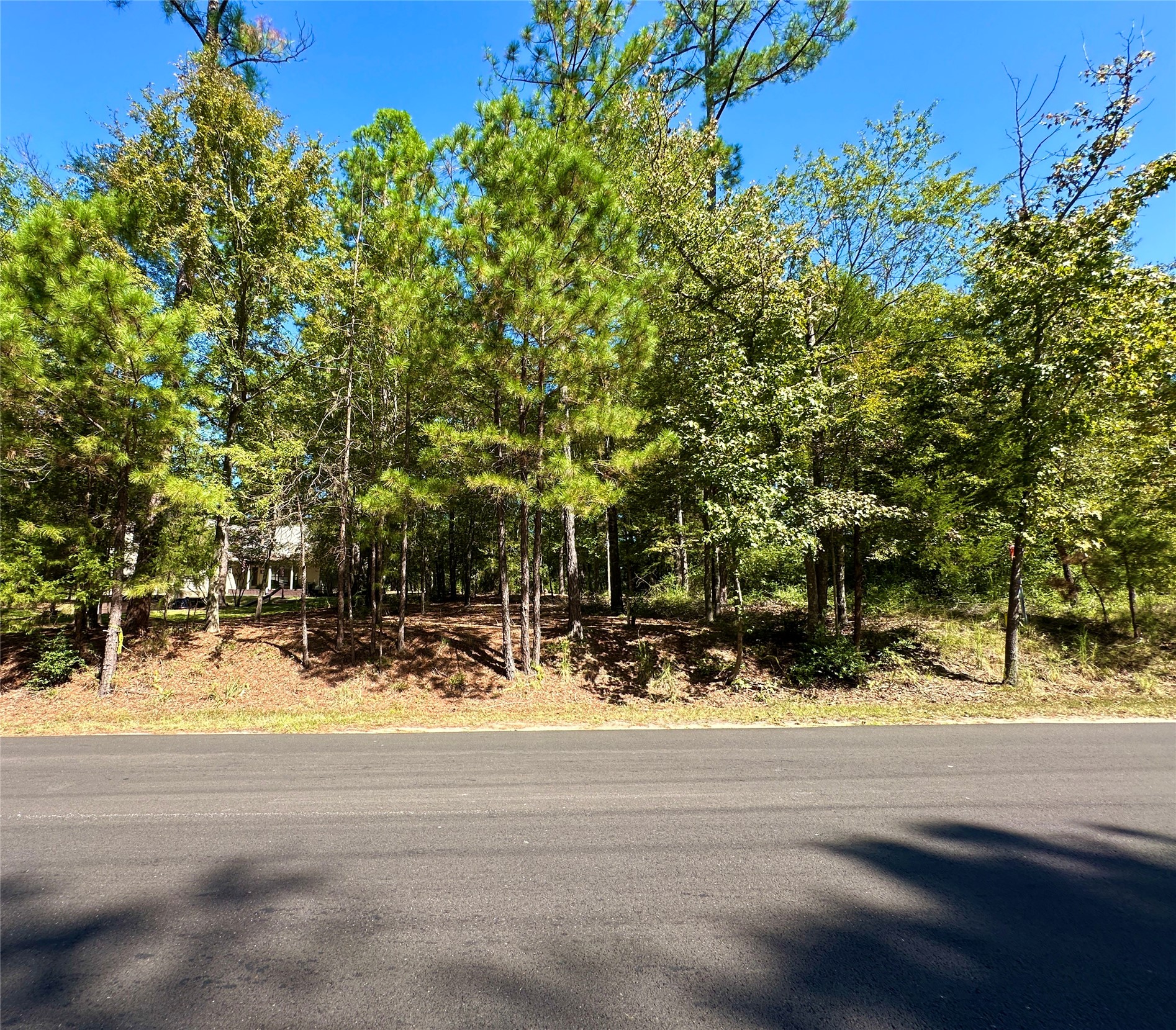 Tbd Holly Trail Holly Lake Ranch TX 75765