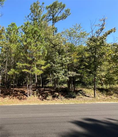 TBD Holly Trail Holly Lake Ranch TX 75765