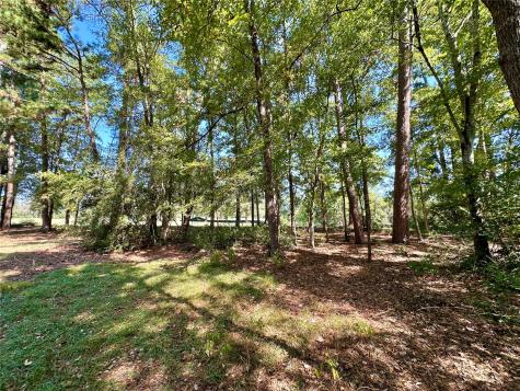 Tbd Holly Trail Holly Lake Ranch TX 75765