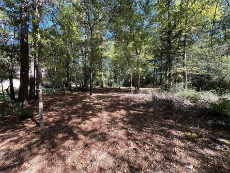 Tbd Holly Trail Holly Lake Ranch TX 75765