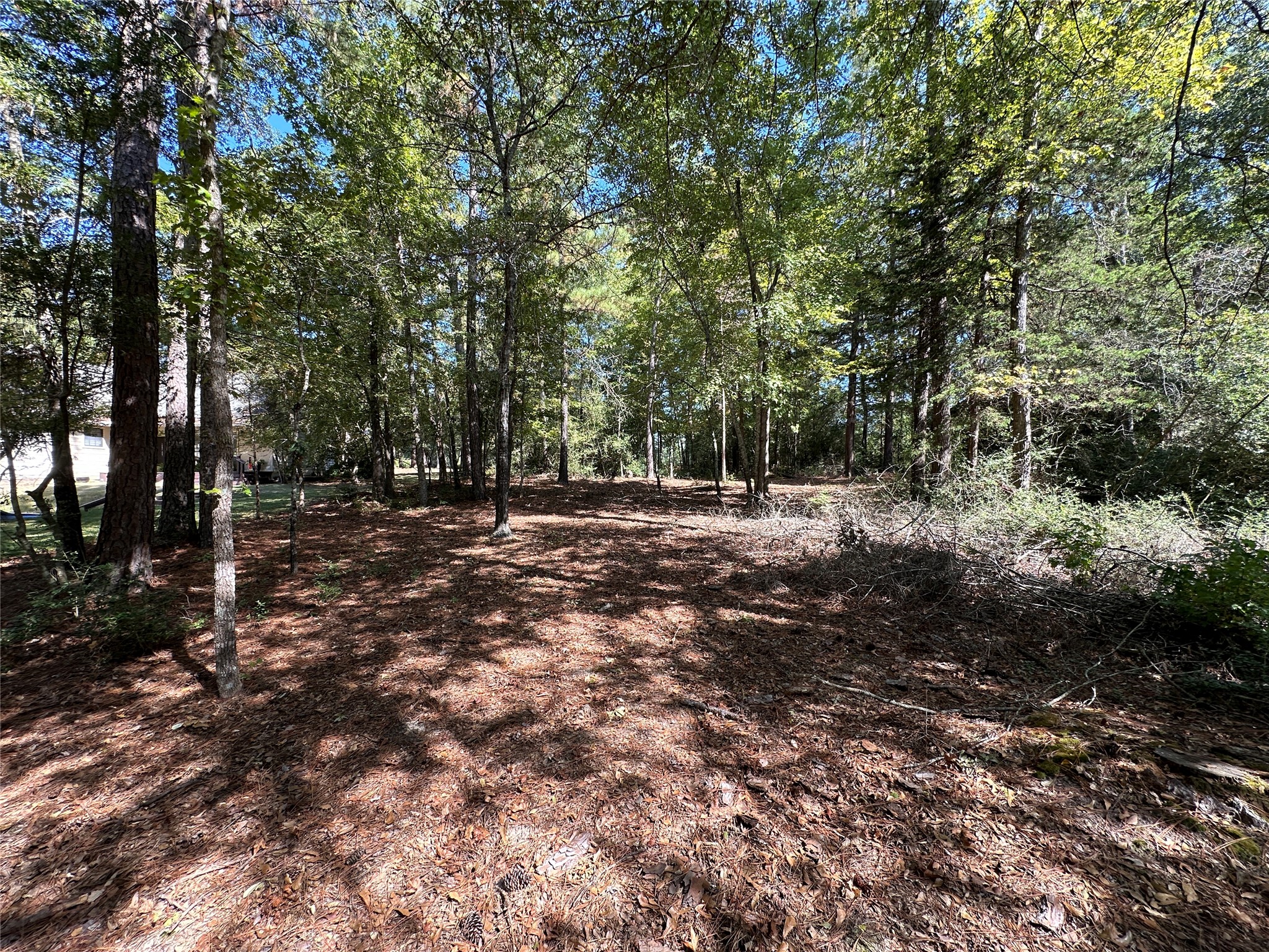 Tbd Holly Trail Holly Lake Ranch TX 75765