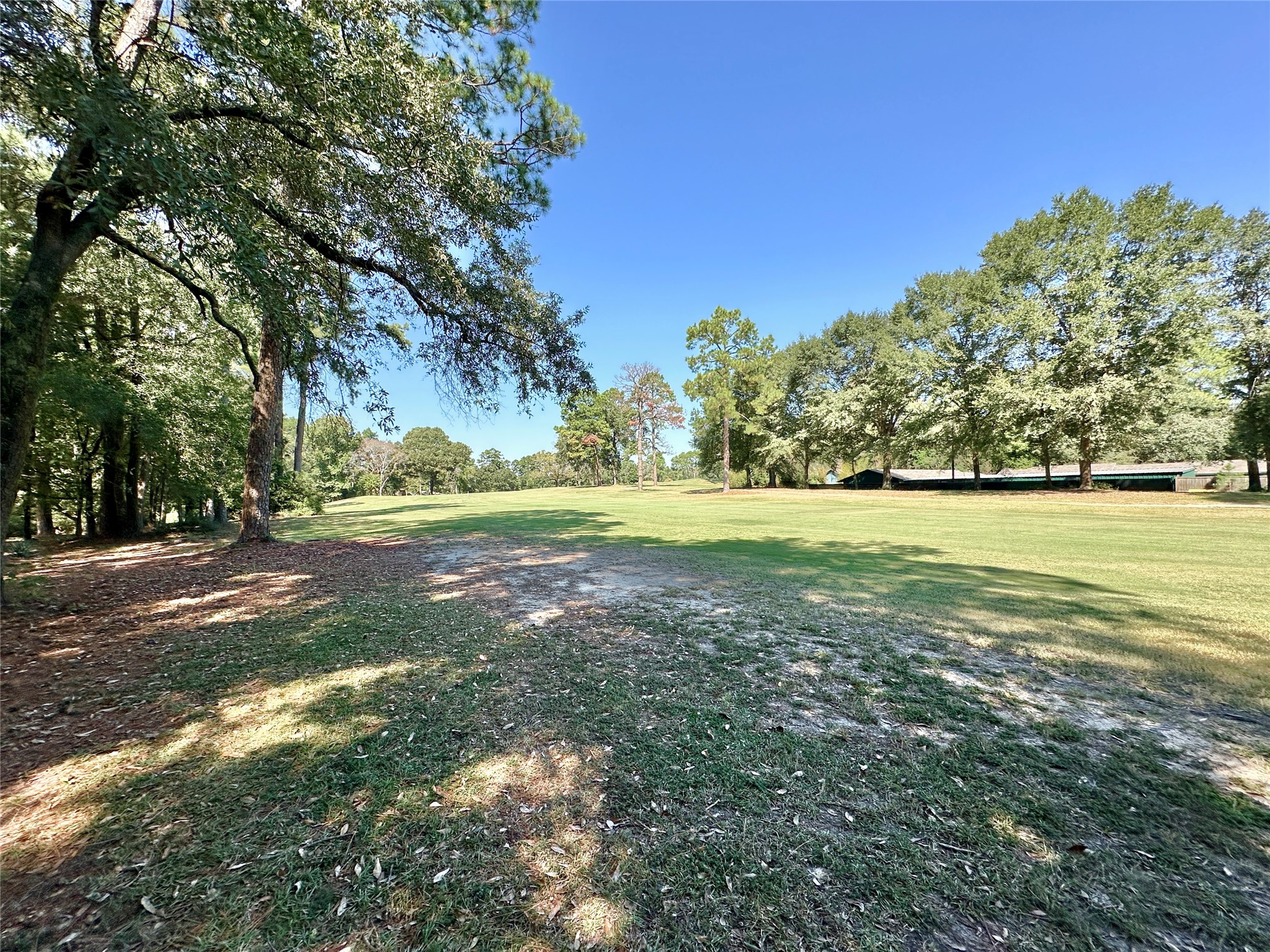 Tbd Holly Trail Holly Lake Ranch TX 75765