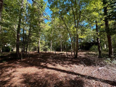 Tbd Holly Trail Holly Lake Ranch TX 75765
