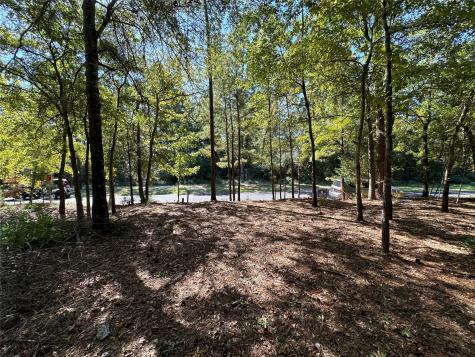 Tbd Holly Trail Holly Lake Ranch TX 75765