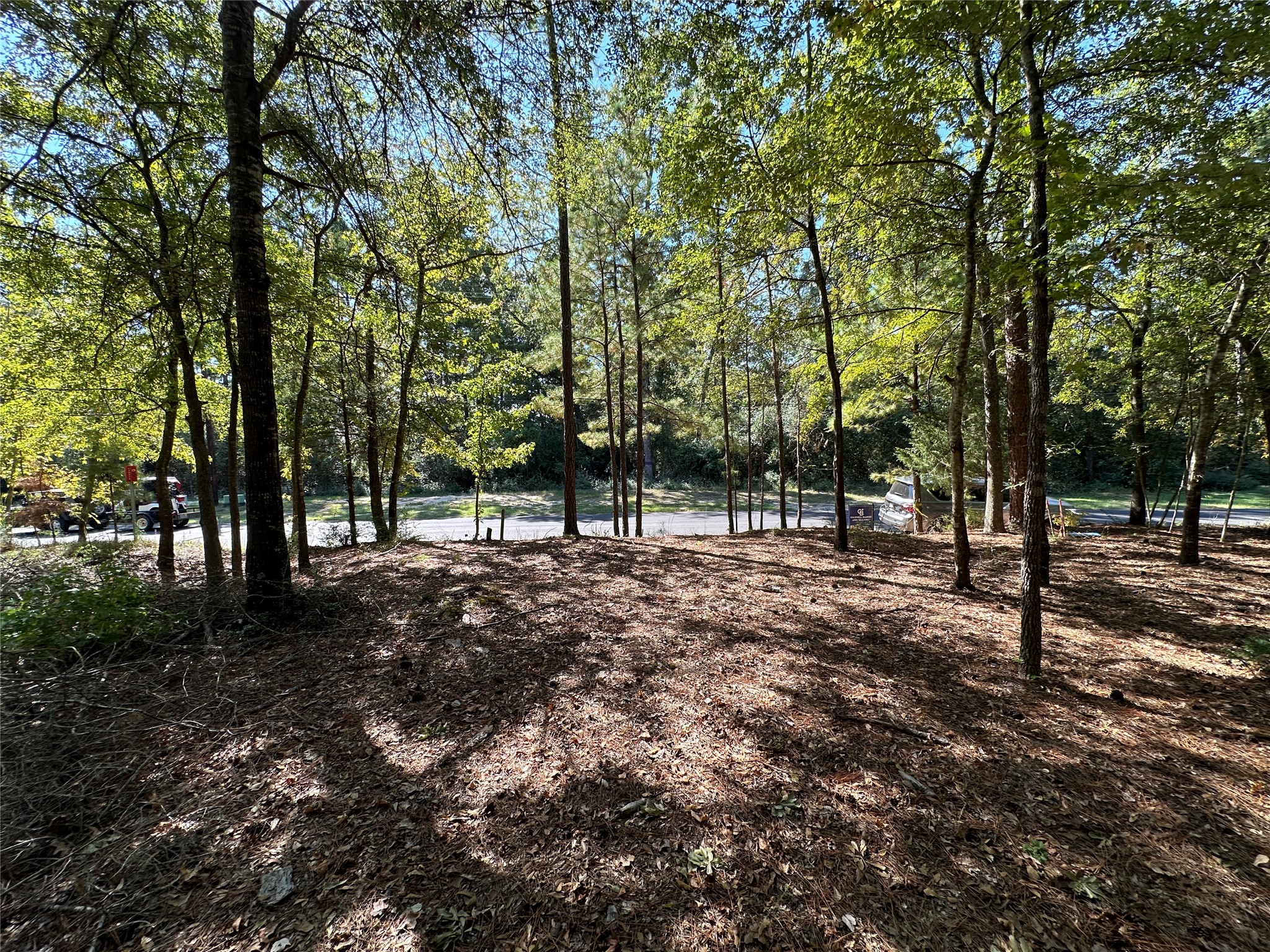 Tbd Holly Trail Holly Lake Ranch TX 75765