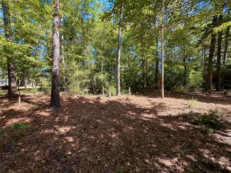 Tbd Holly Trail Holly Lake Ranch TX 75765