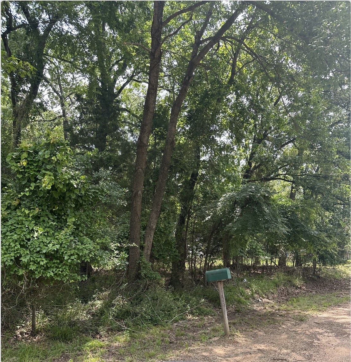 0 Hickory Street Mabank TX 75156