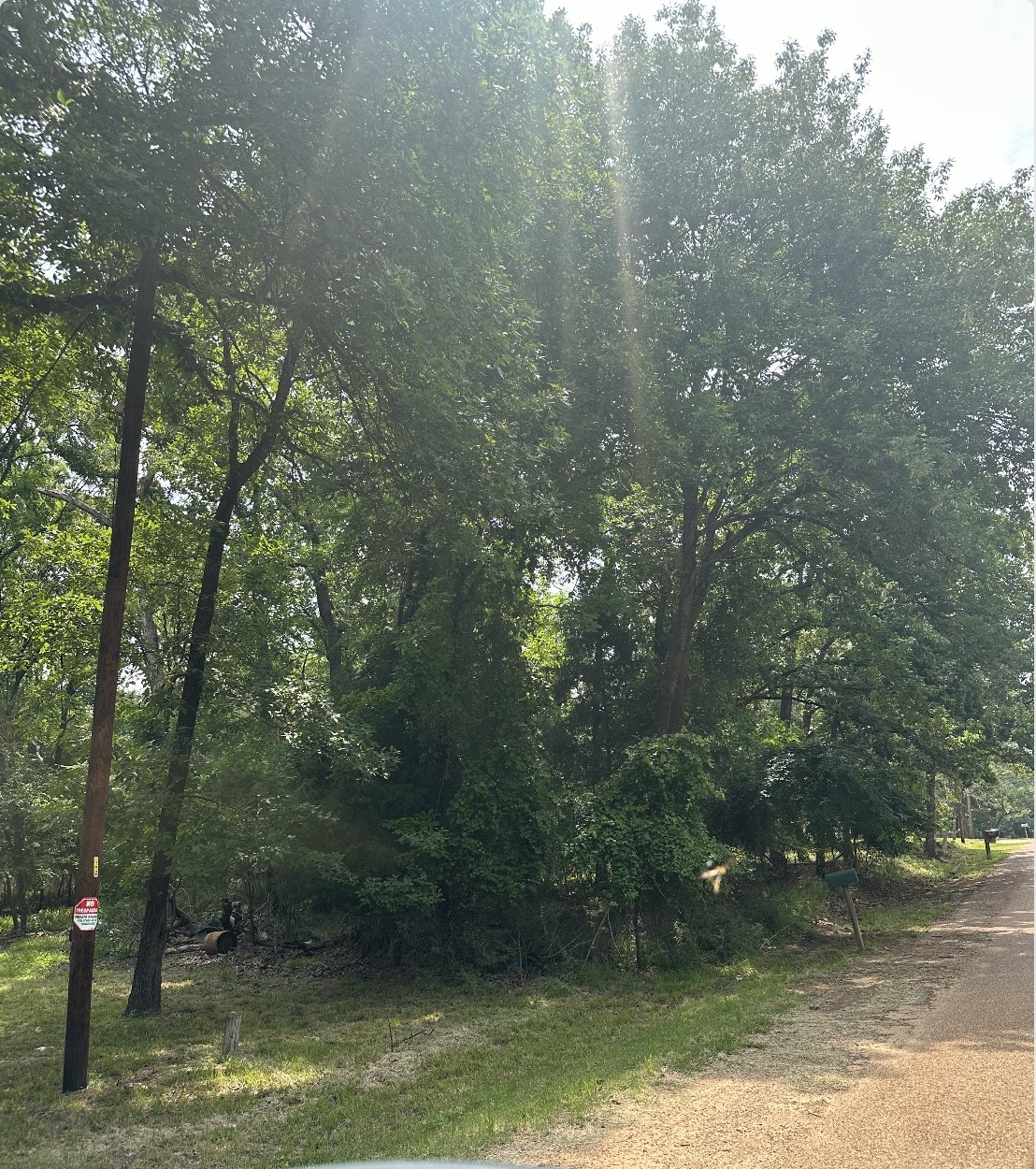 0 Hickory Street Mabank TX 75156