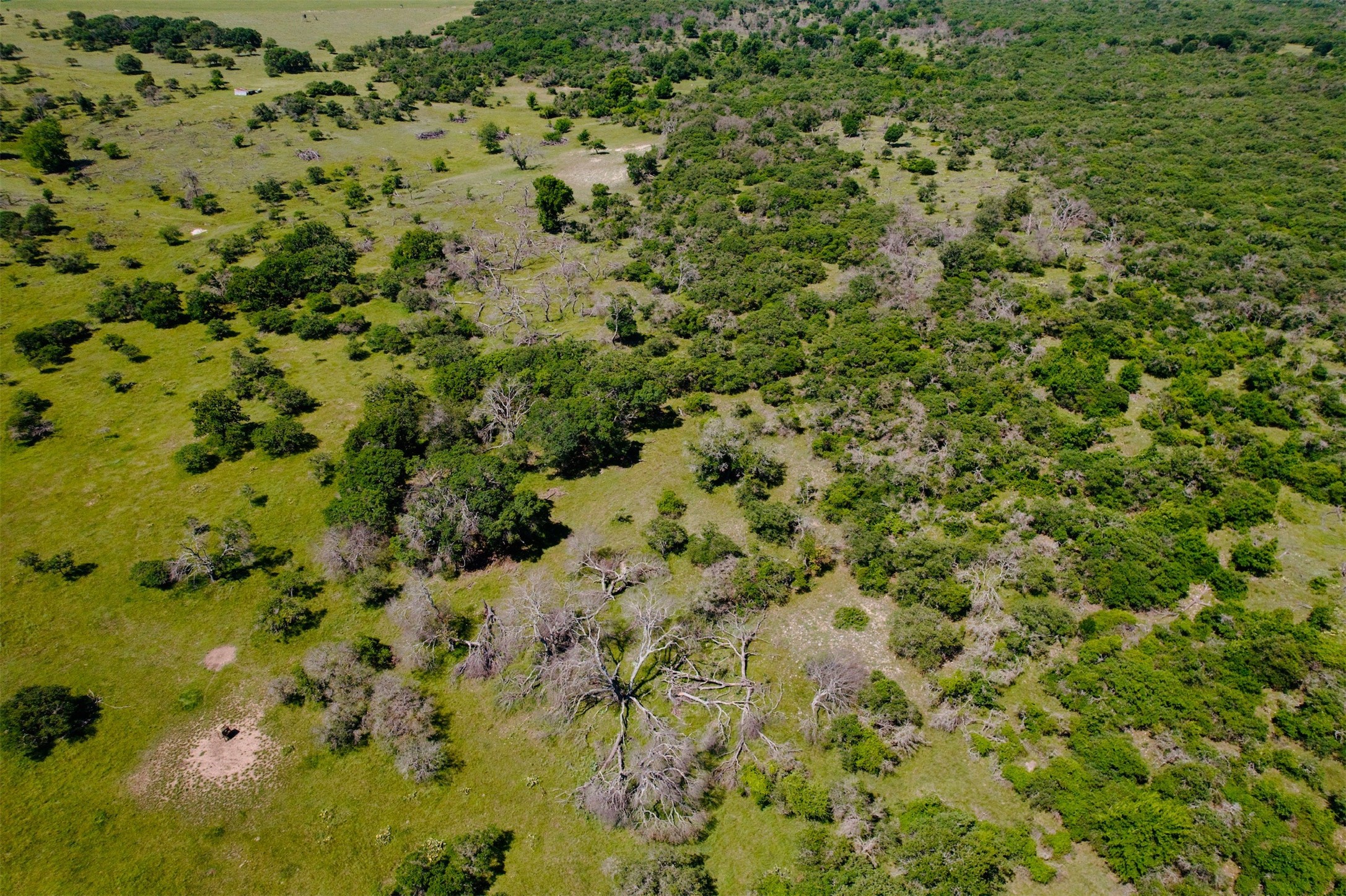 9 N Hcr 624 Road N Goldthwaite TX 76844