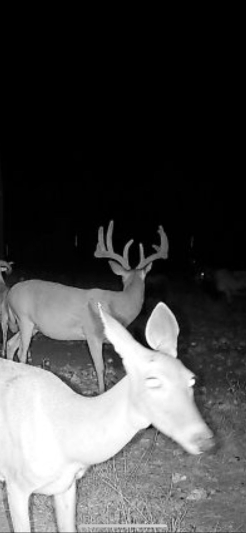 9 N Hcr 624 Road N Goldthwaite TX 76844