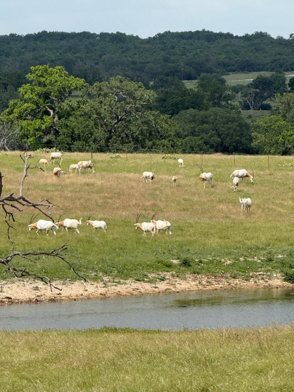 9 N Hcr 624 Road N Goldthwaite TX 76844