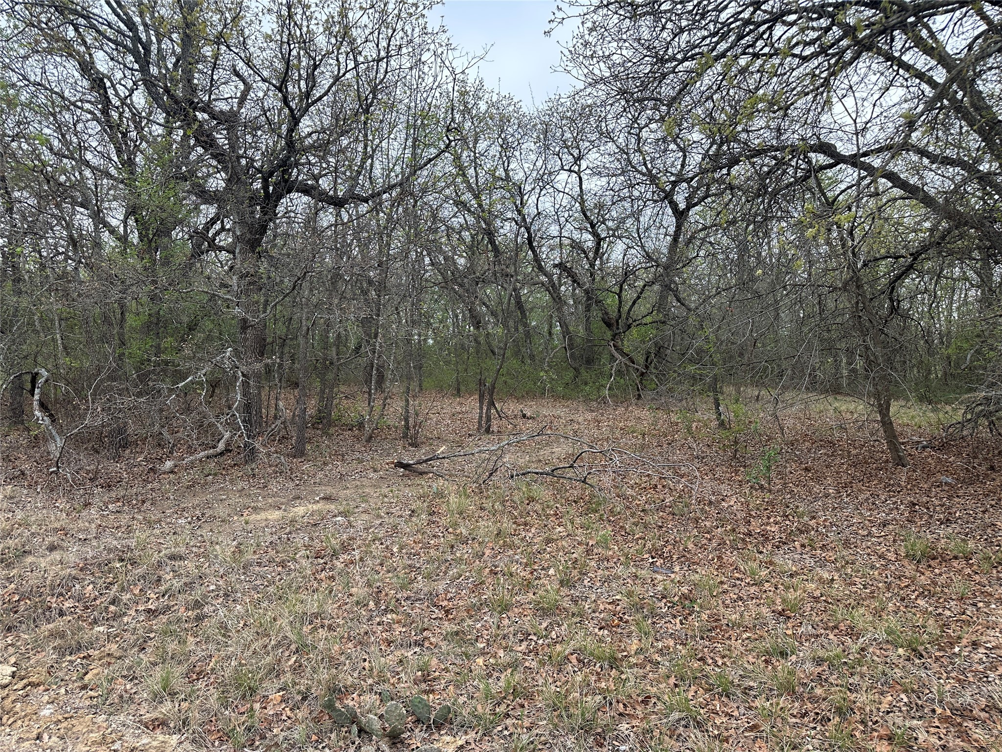 Tbd Martins Lane Runaway Bay TX 76426