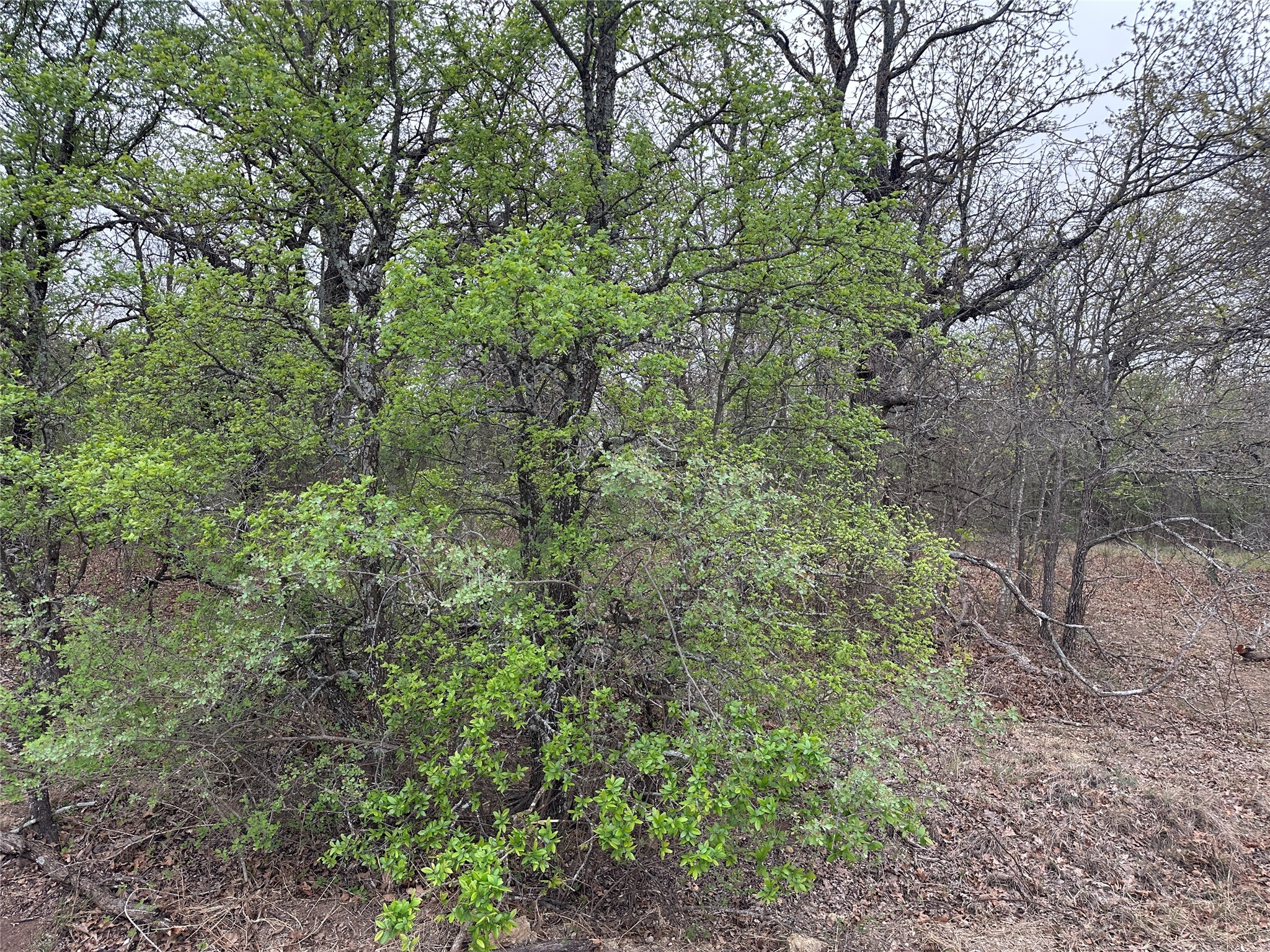 Tbd Martins Lane Runaway Bay TX 76426