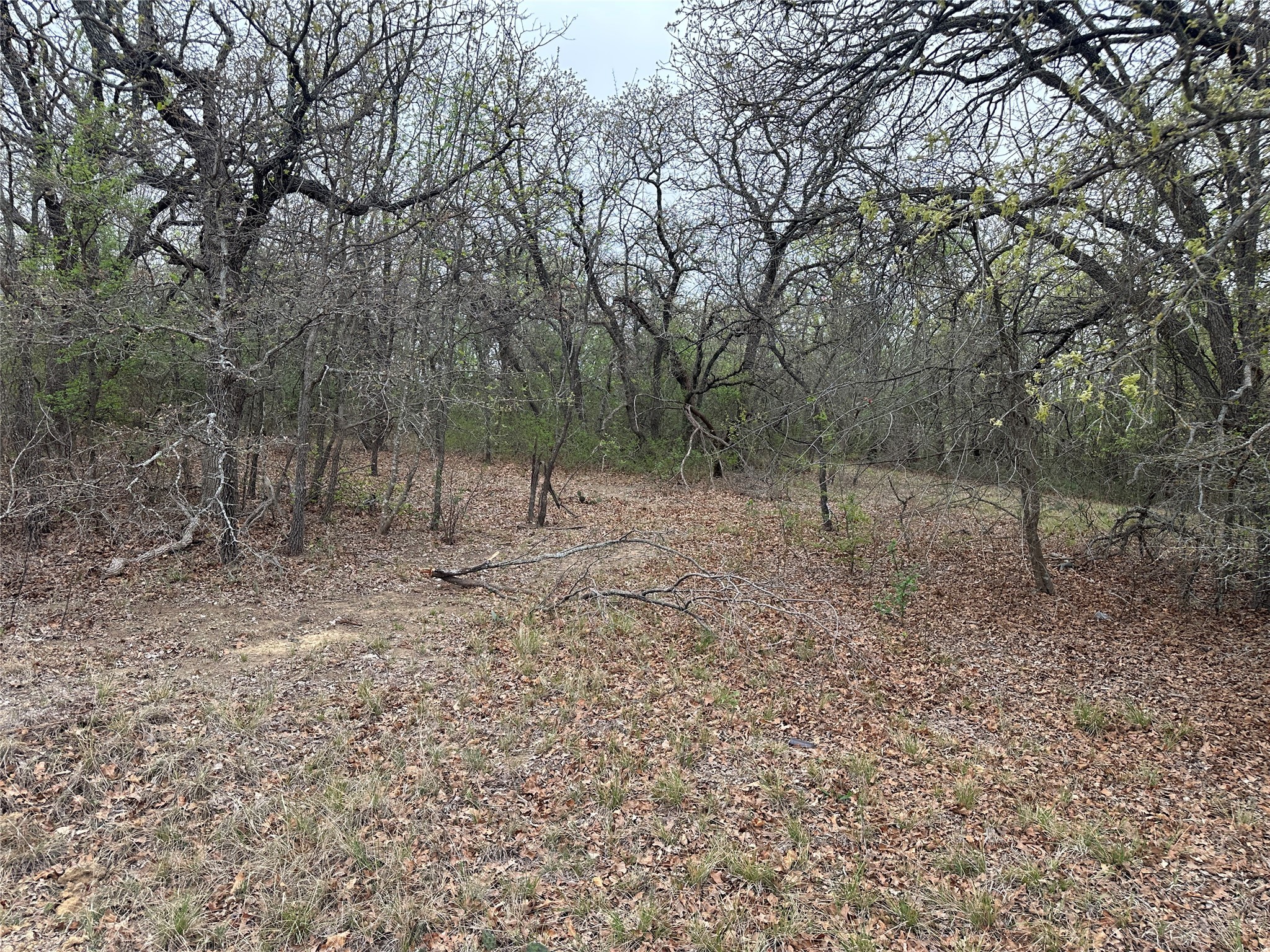 Tbd Martins Lane Runaway Bay TX 76426