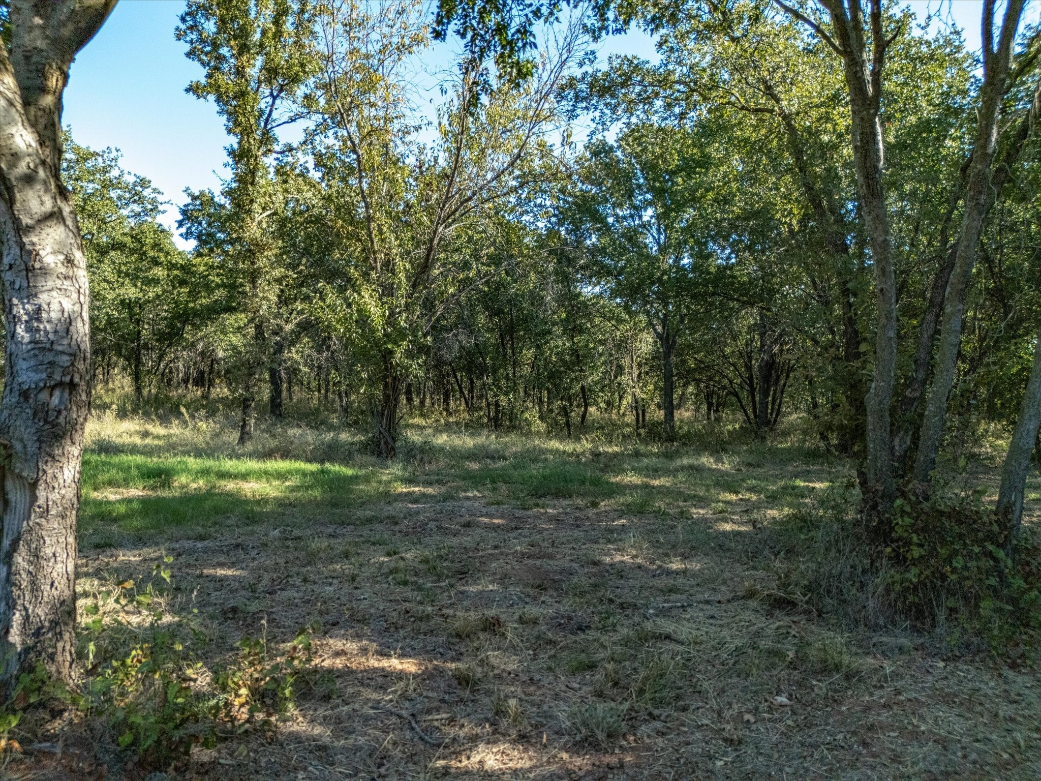 2210 Cardwell Road Ringgold TX 76261