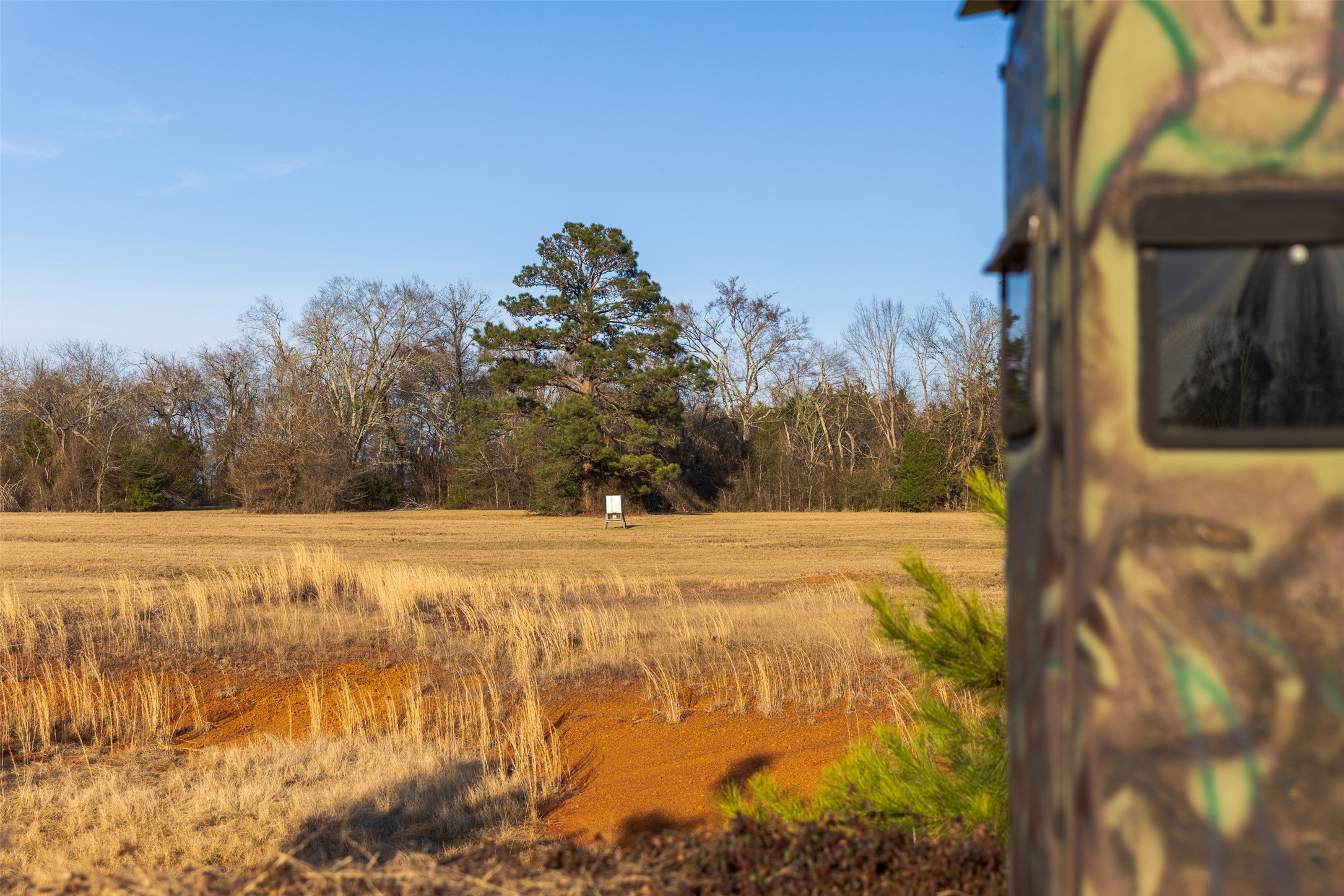 13579 County Road 4198 S Laneville TX 75667
