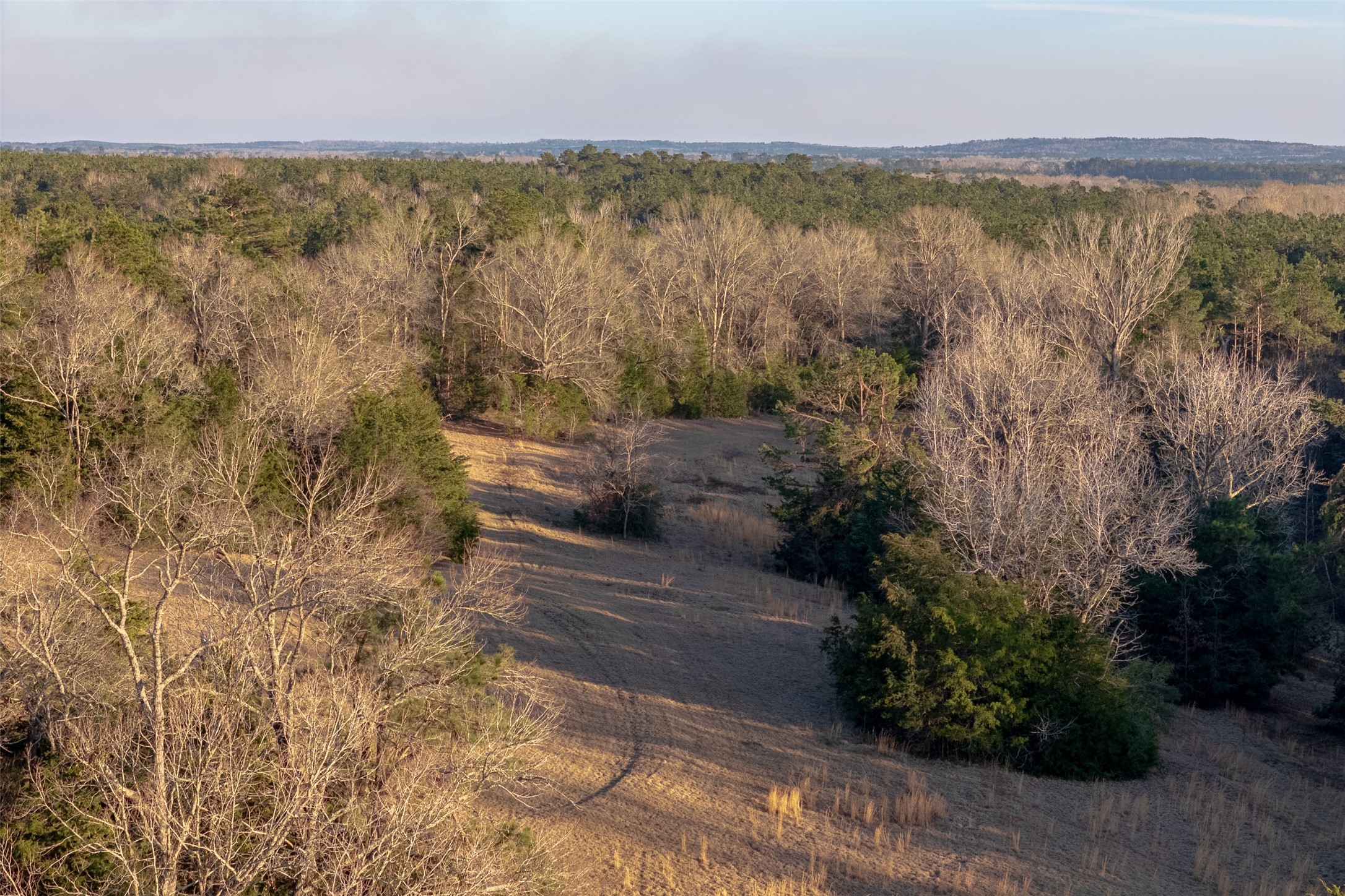 13579 County Road 4198 S Laneville TX 75667
