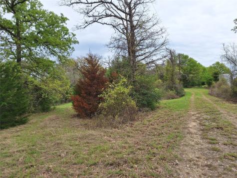 Fm 3371 Fm-3371 Path Thornton TX 76687