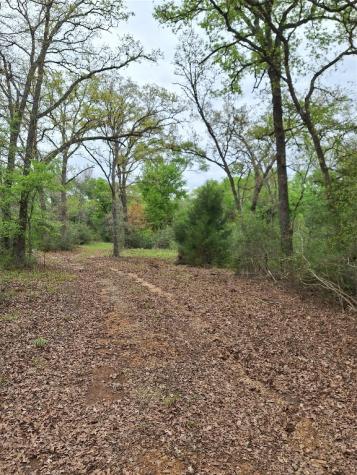 Fm 3371 Fm-3371 Path Thornton TX 76687