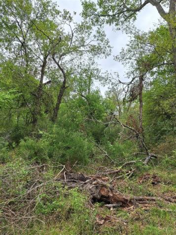 Fm 3371 Fm-3371 Path Thornton TX 76687