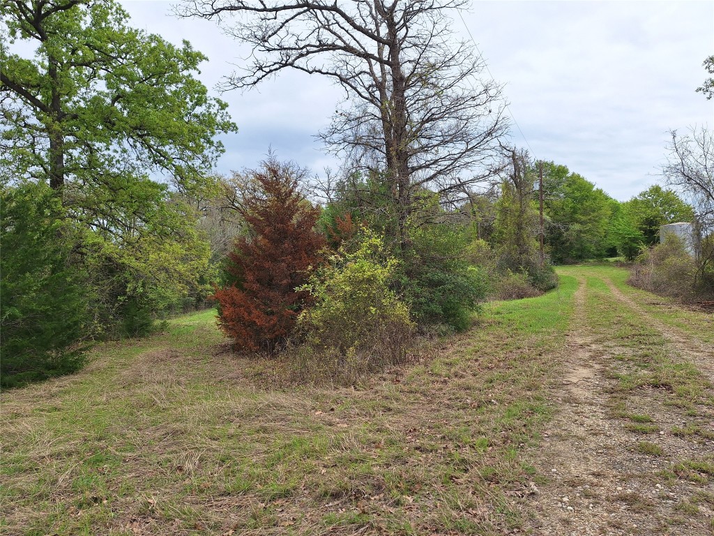 Fm 3371 Fm-3371 Path Thornton TX 76687