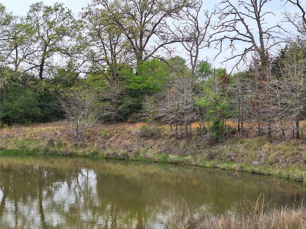 Fm 3371 Fm-3371 Path Thornton TX 76687