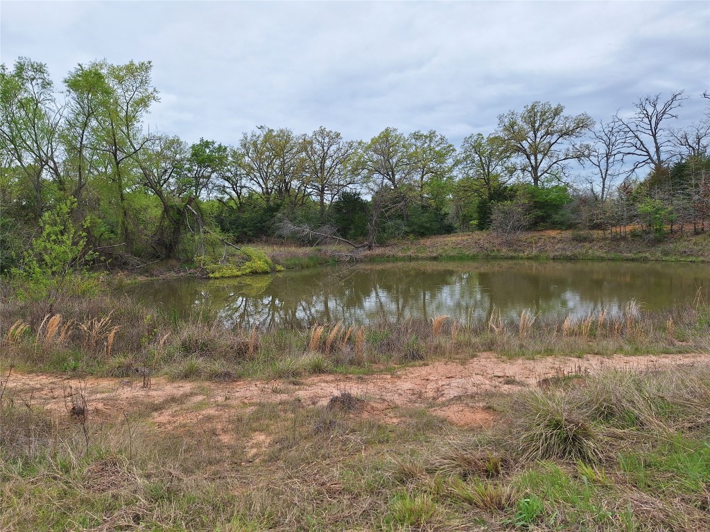 Fm 3371 Fm-3371 Path Thornton TX 76687