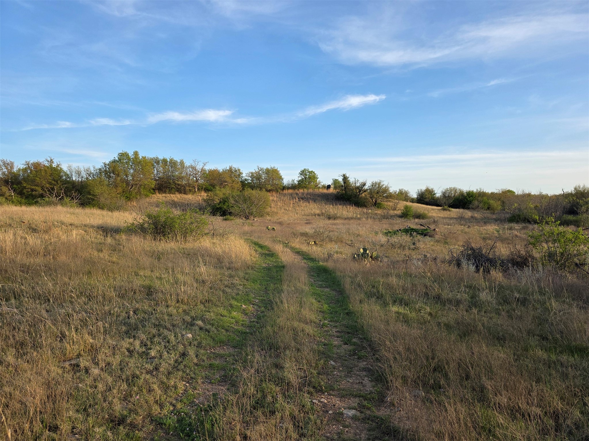0 Co Road 303 Gorman TX 76454