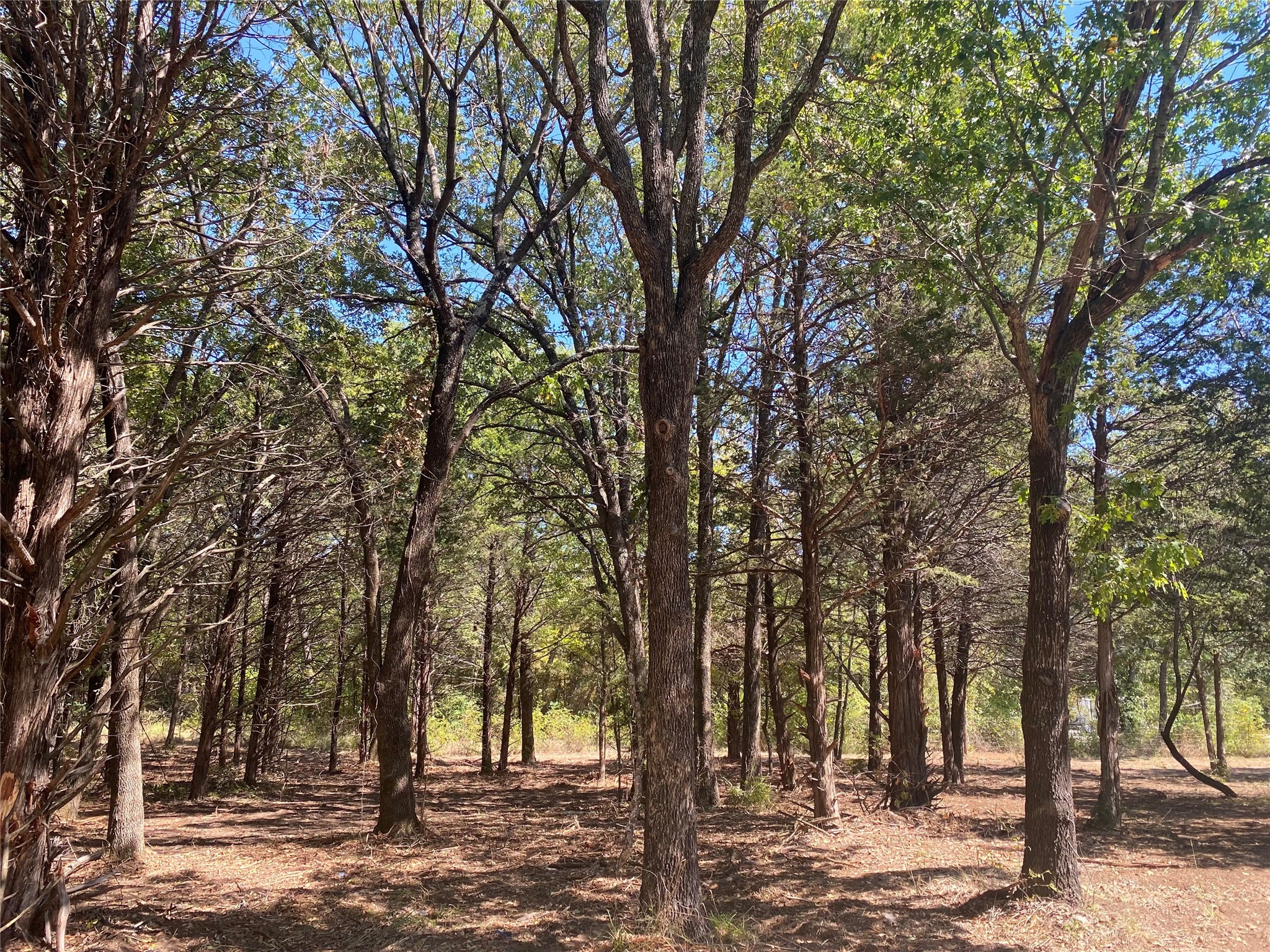 1648 Gordonville Road Gordonville TX 76245