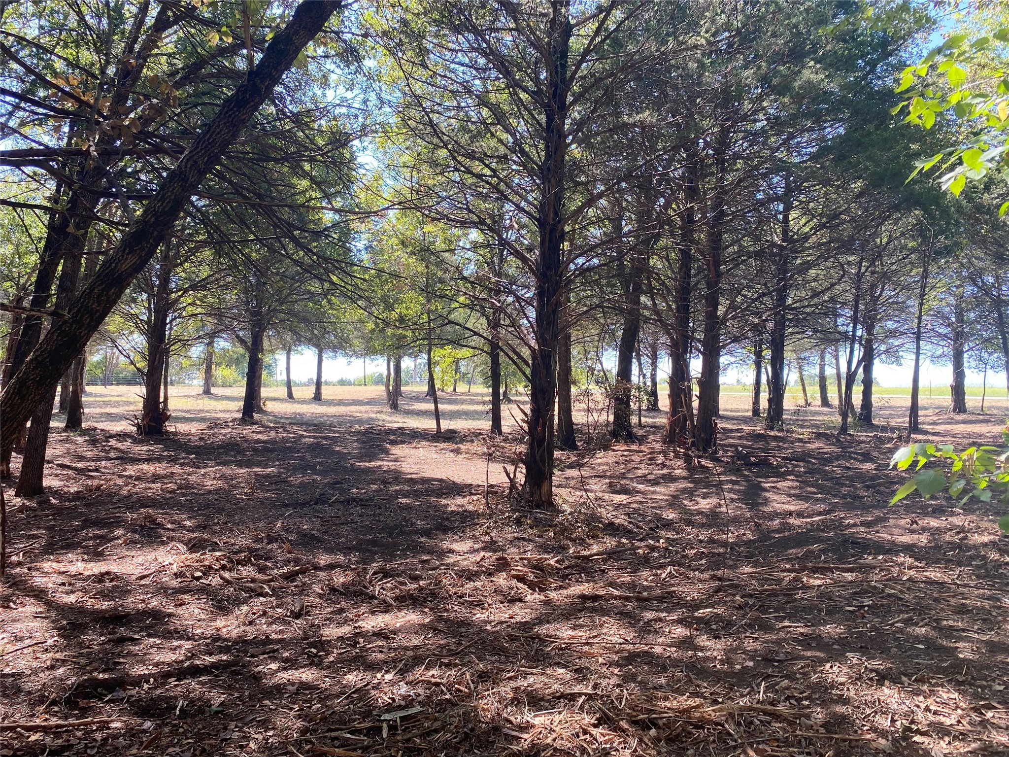 1648 Gordonville Road Gordonville TX 76245