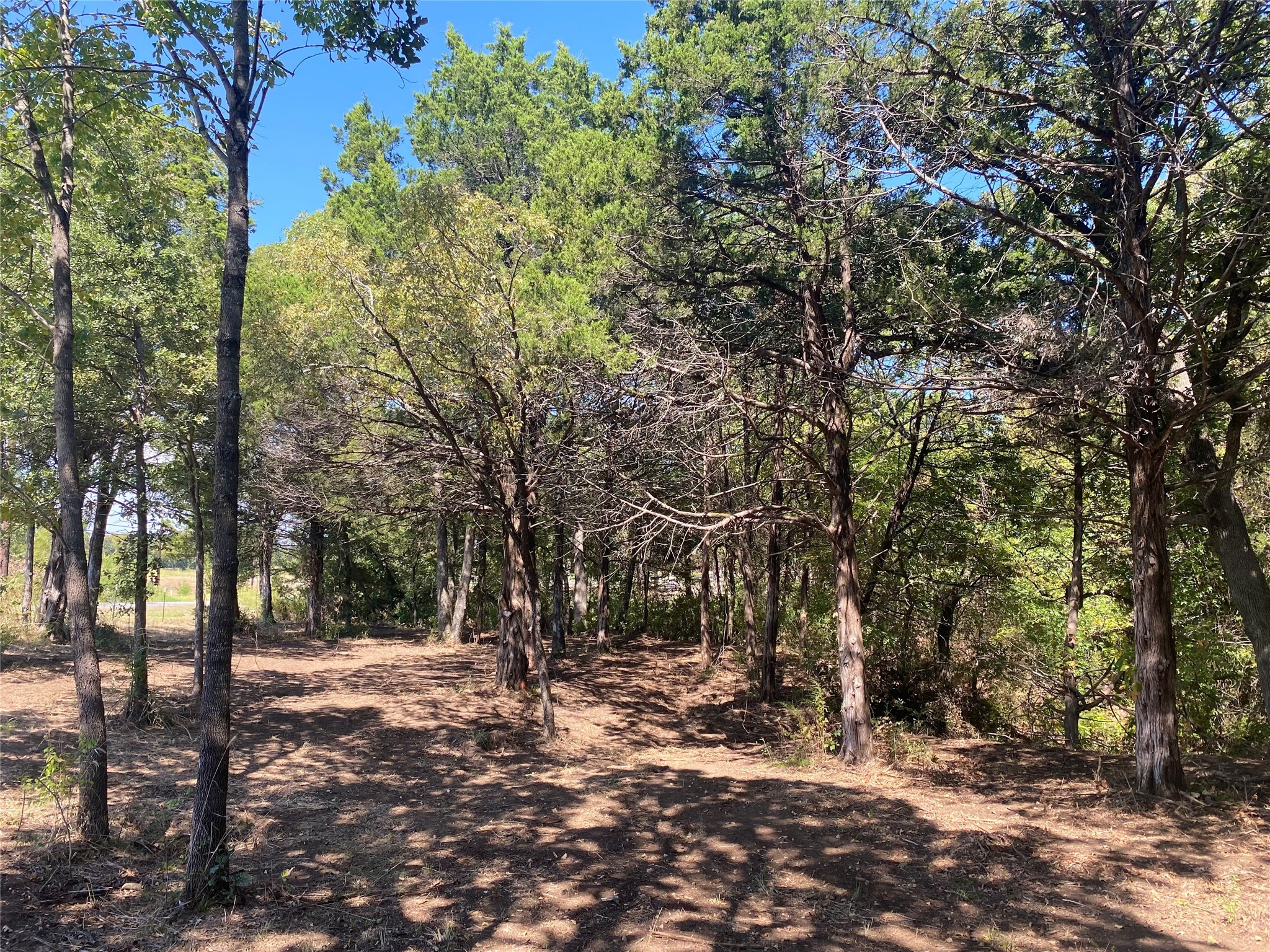 1648 Gordonville Road Gordonville TX 76245