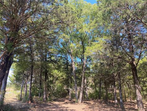 1648 Gordonville Road Gordonville TX 76245