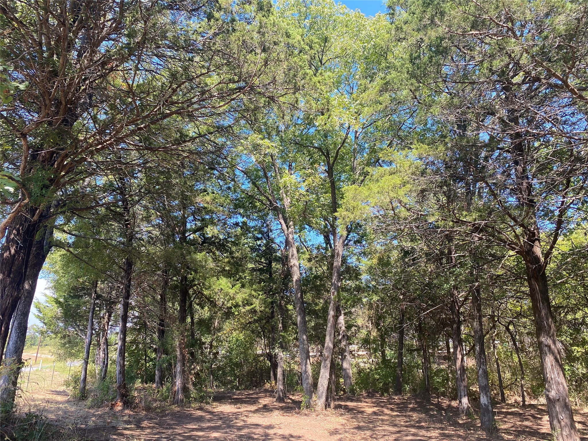 1648 Gordonville Road Gordonville TX 76245