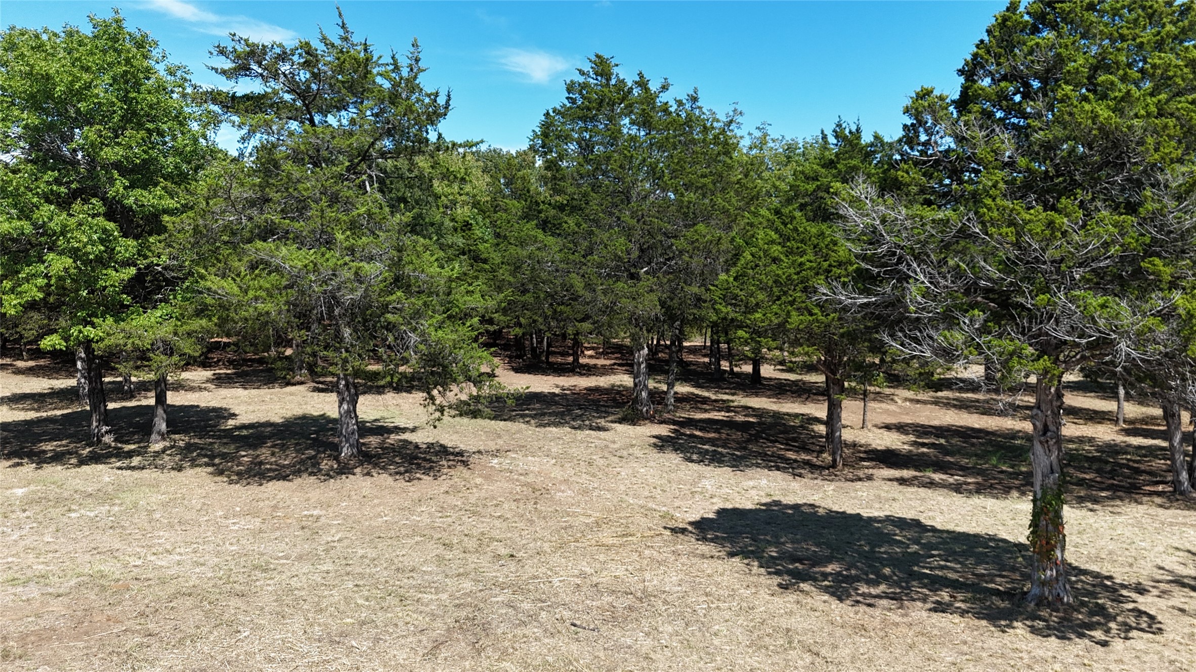 1648 Gordonville Road Gordonville TX 76245