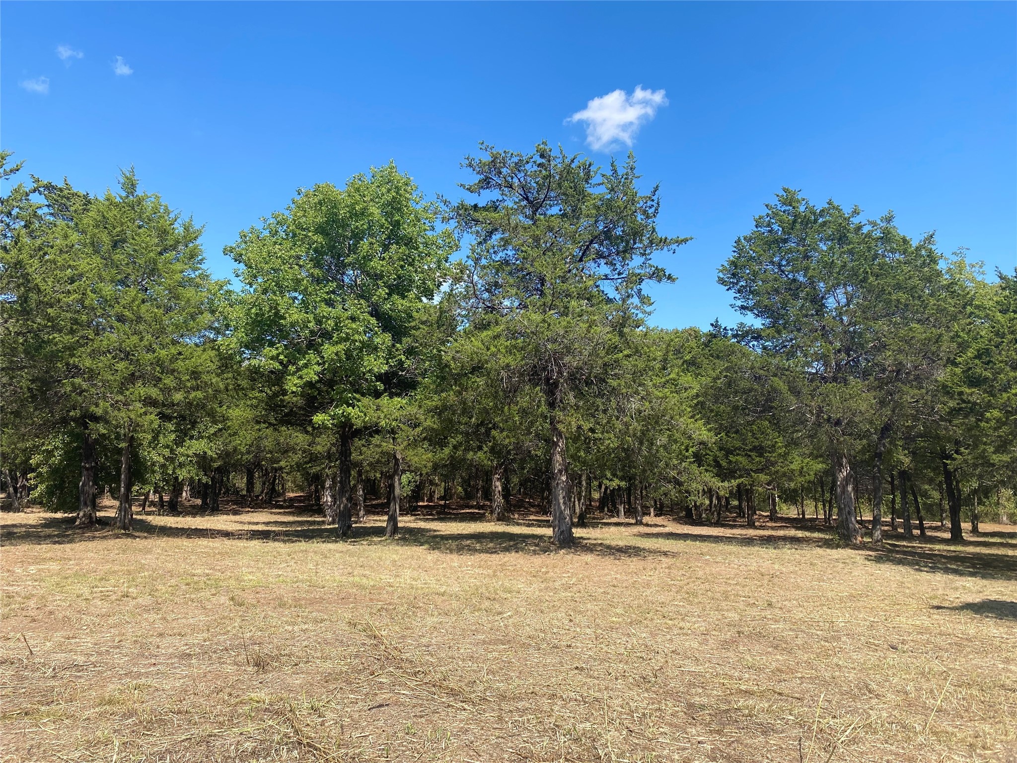 1648 Gordonville Road Gordonville TX 76245