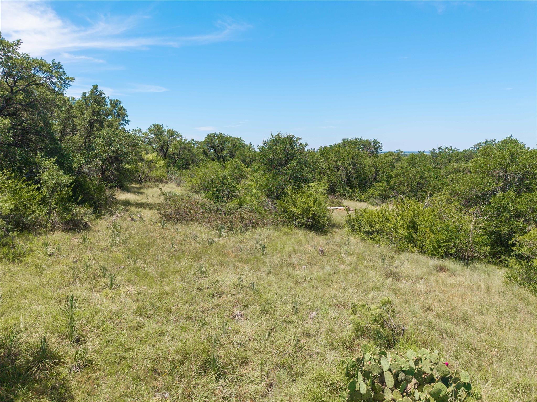 1689 Fm May TX 76857