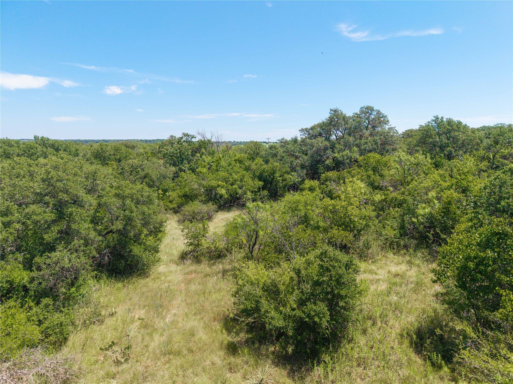 1689 Fm May TX 76857