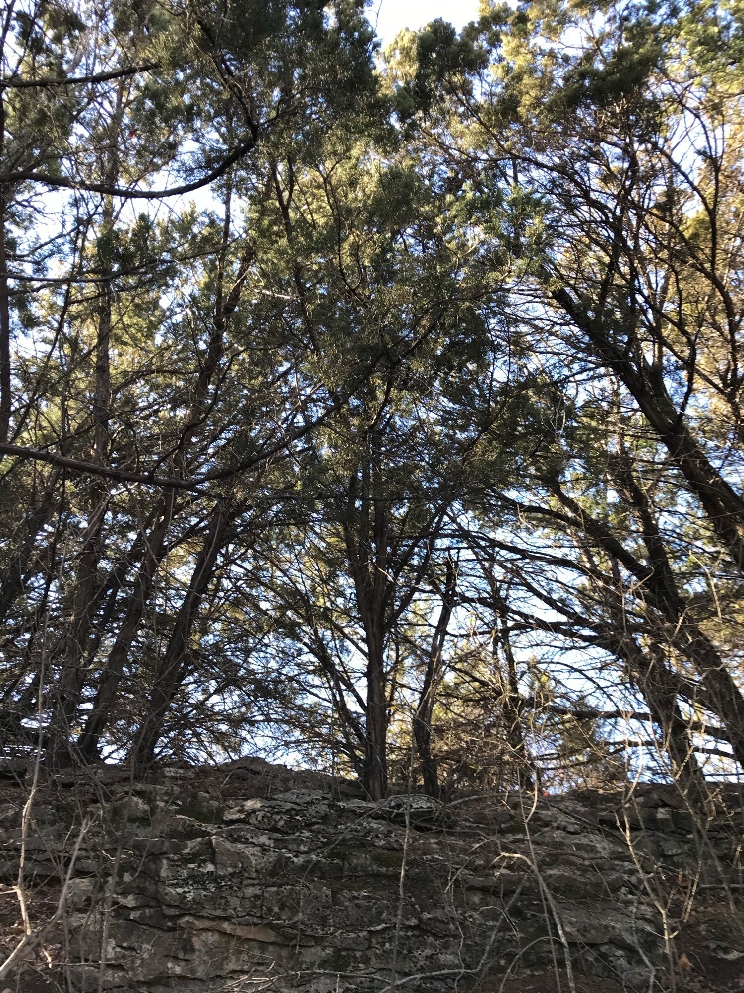 Lot 694 Balcones Lane Possum Kingdom Lake TX 76449