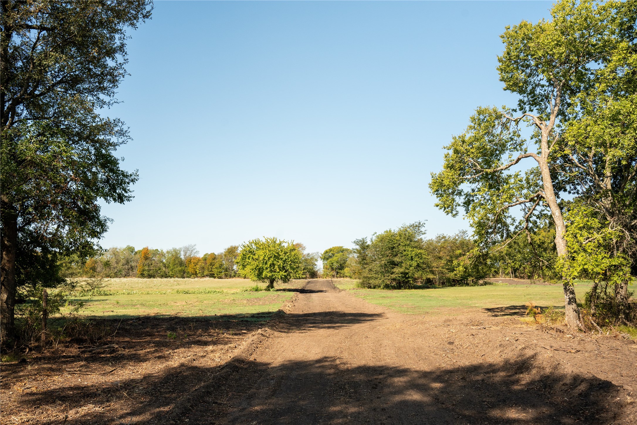 Tbd County Road 3660 County Road 3660 Ladonia TX 75449