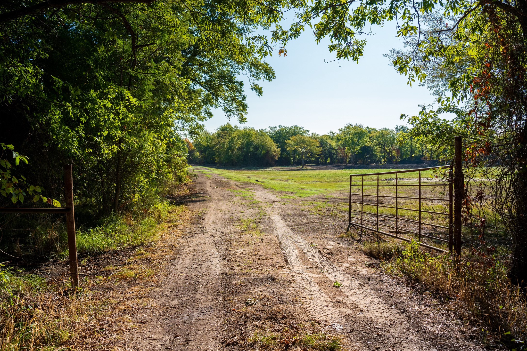 Tbd County Road 3660 County Road 3660 Ladonia TX 75449