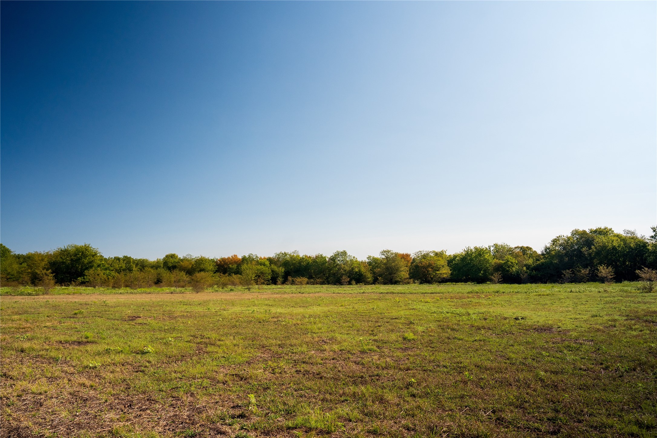 Tbd County Road 3660 County Road 3660 Ladonia TX 75449
